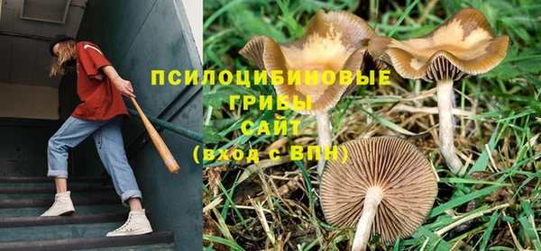 спайс Алзамай